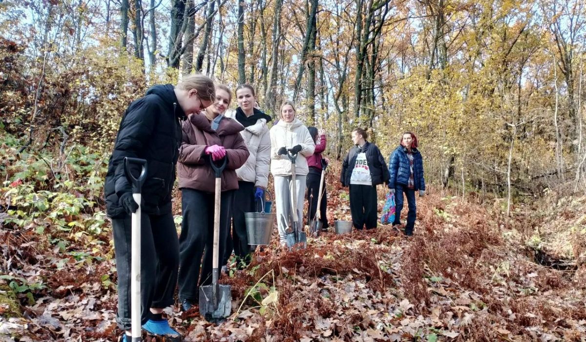 В Курской области посадили более 200 кг желудей дуба черешчатого