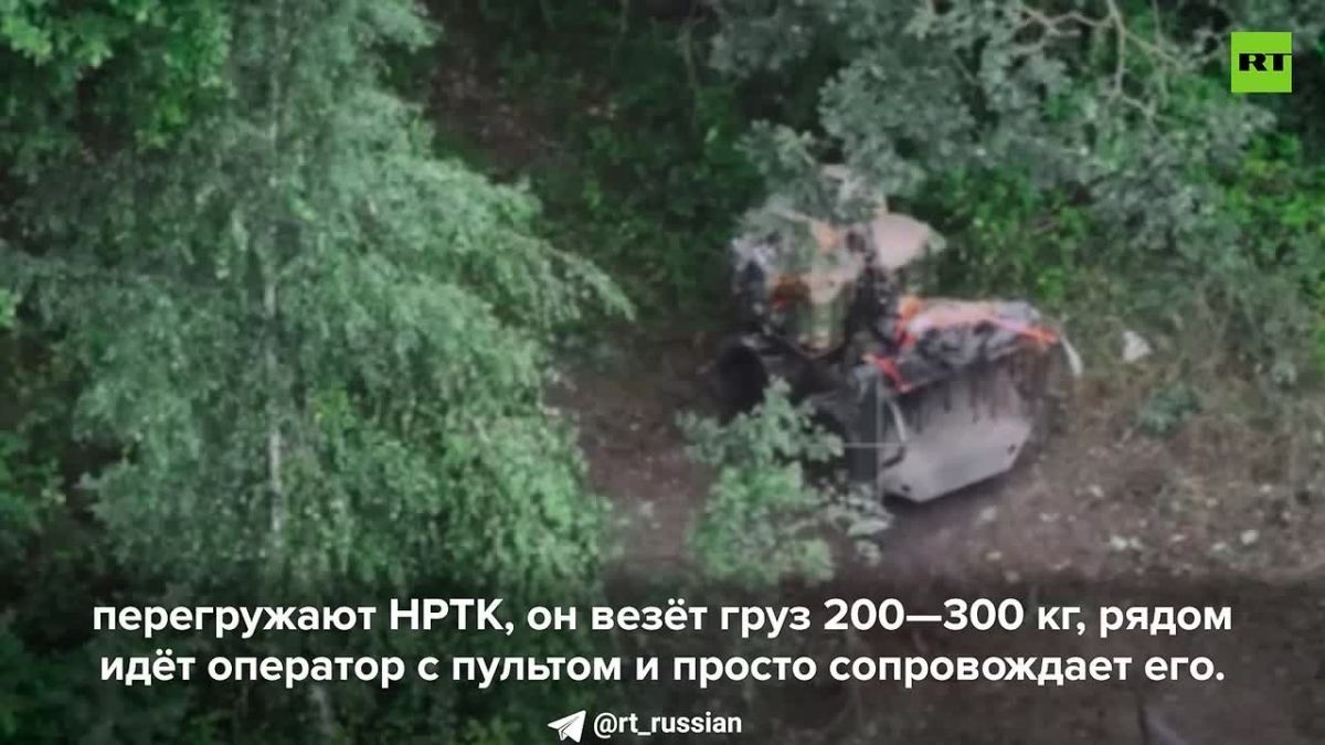 Герои СВО: позывной Рамзан