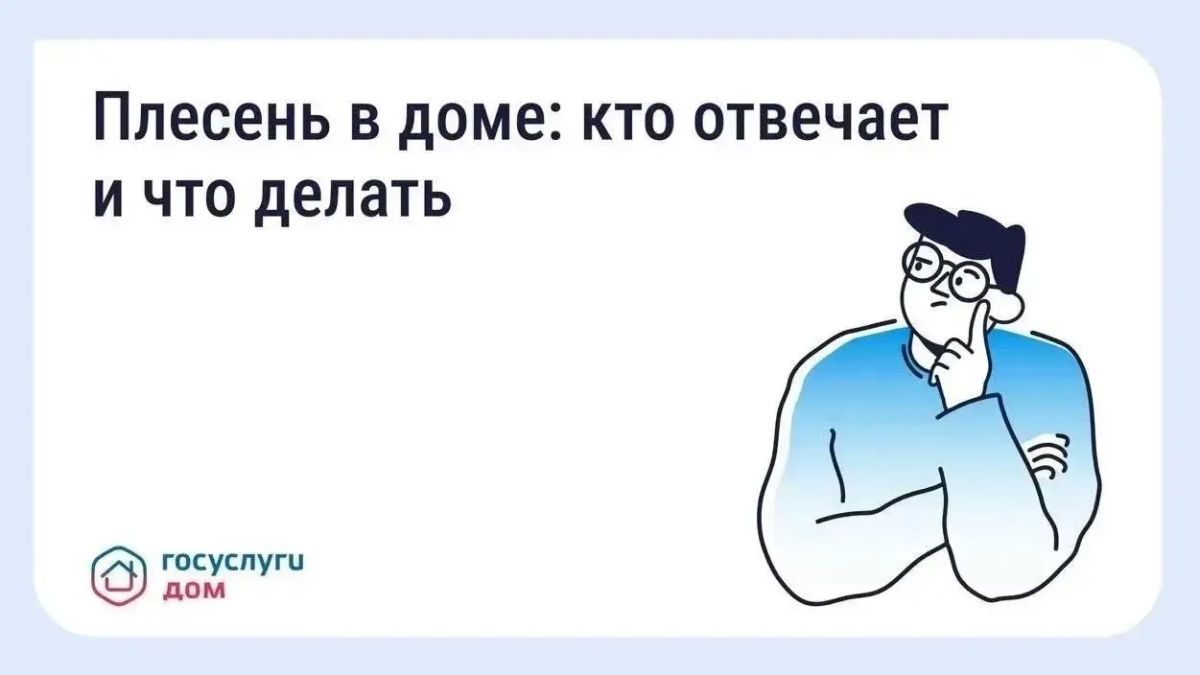 Плесень опасна для здоровья и портит отделку. Её появление чаще всего связано с повышенной влажностью, вызванной плохой вентиляцией, промерзанием стен, протечками или сбоями в инженерных системах