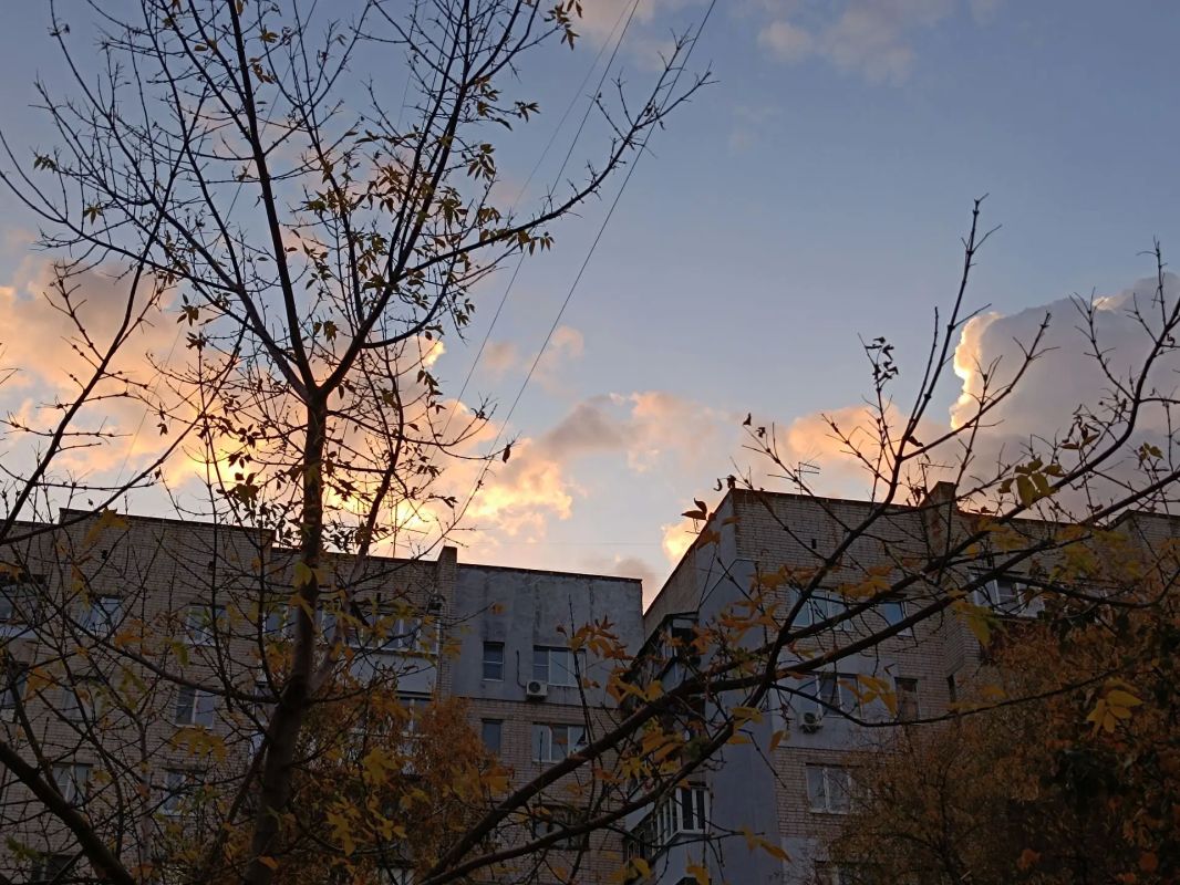 Небольшие дожди и до +15° ожидается в Курской области 21 октября