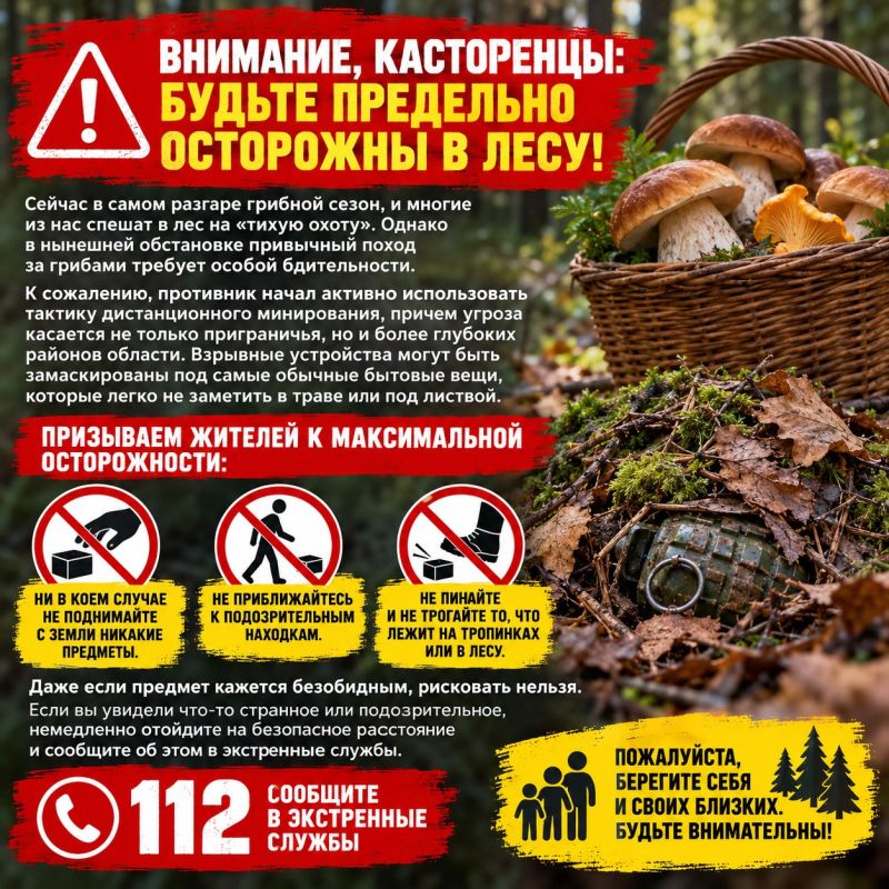 Внимание, касторенцы: будьте предельно осторожны в лесу!