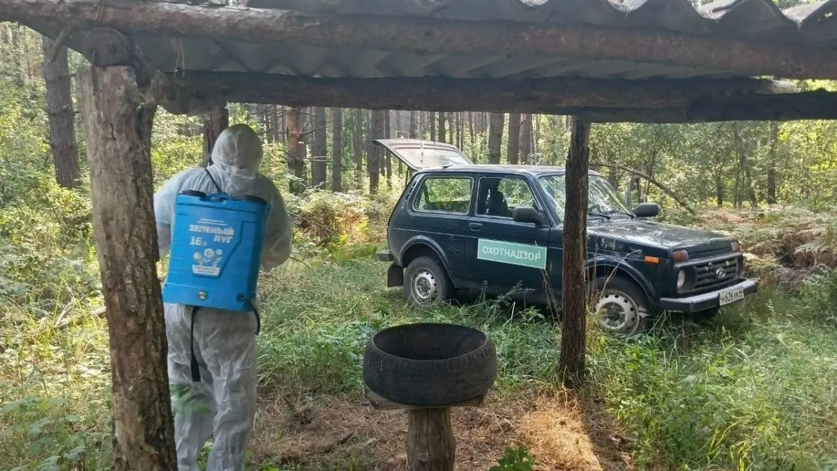 Сотрудники «Курскохотрыбцентра» и районной ветстанции провели плановую дезинфекцию кормушек в охотугодьях Конышевского района