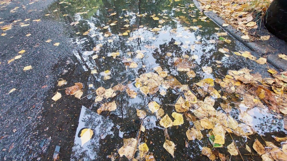 В Курской области в ближайшие три дня существенных погодных изменений не обещают - такой прогноз дал региональный Гидрометцентр