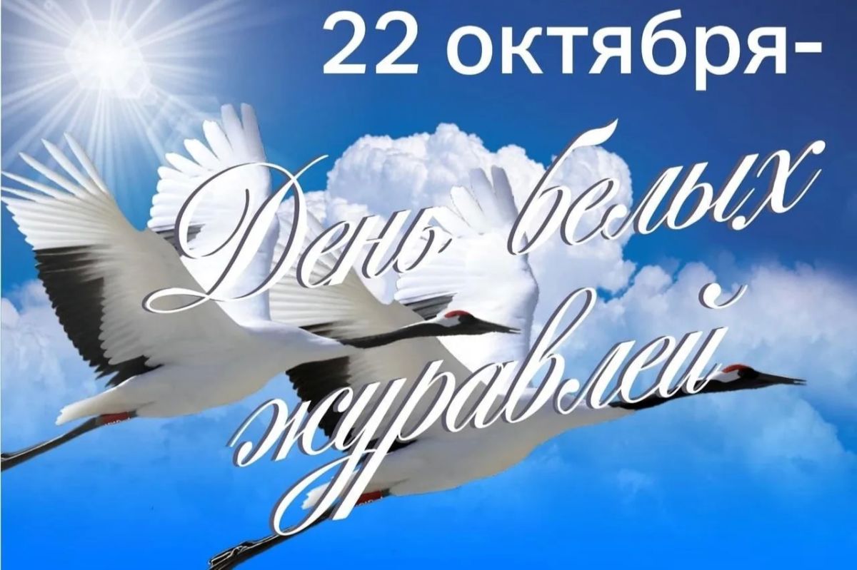 22 октября в России отмечается День белых журавлей