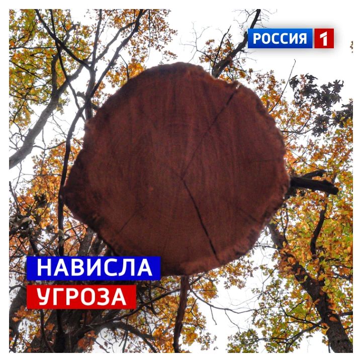 22 октября, четверг. Сегодня Международный день защиты мужской нервной системы от насильственных действий со стороны женщин. Админ не будет гадать, что это значит, и у него нет никаких идей