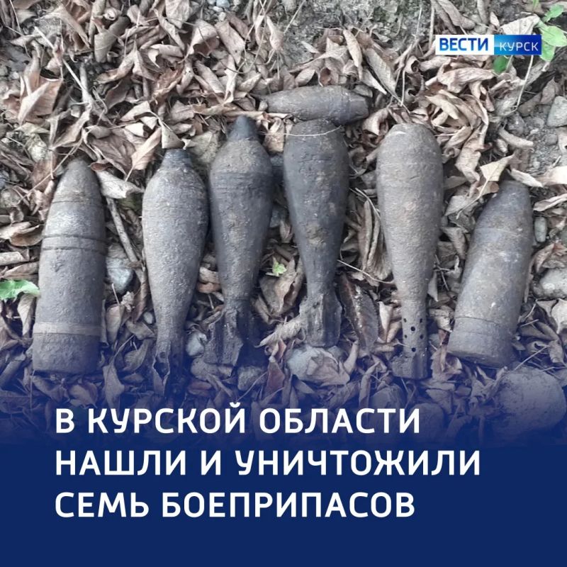 Осколки прошлого: семь боеприпасов нашли в Курской области