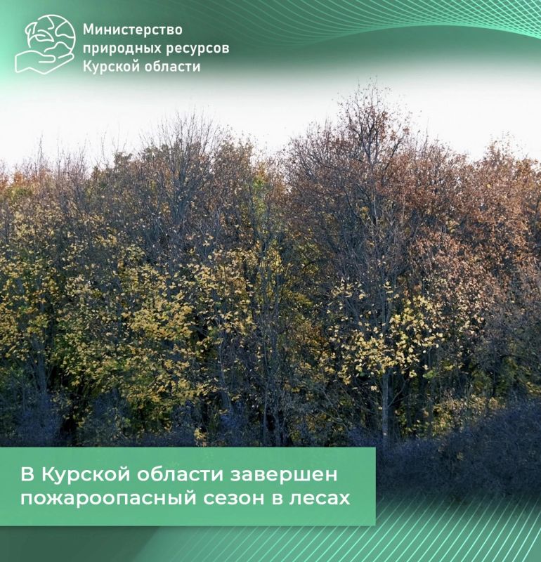 В Курской области завершен пожароопасный сезон в лесах