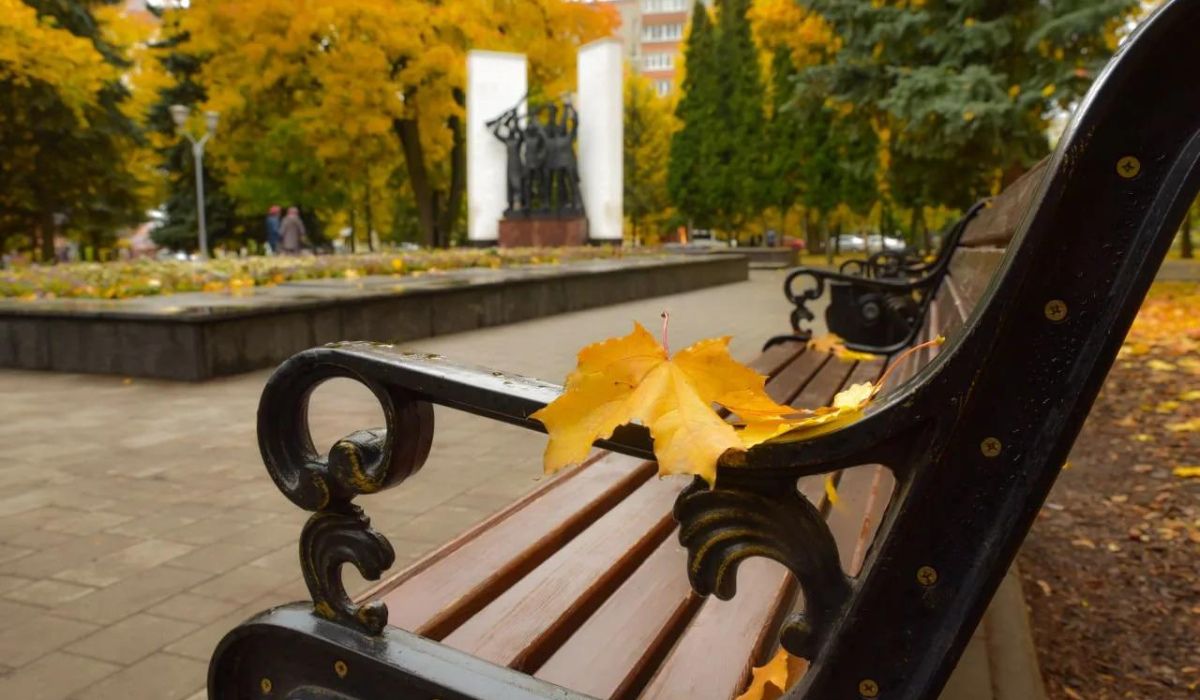 В Курской области 28 октября ожидается до +15 и без осадков