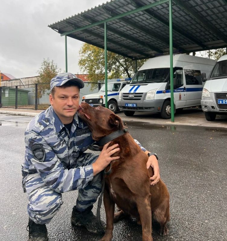 Они могут узнать, что лежит в запертом сейфе, обнаружить взрывчатку по запаху, найти следы крови спустя 10 лет и одним своим видом заставить преступника сдаться