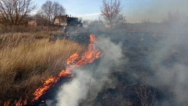 В Курской области рядом с поселком горело поле с травой