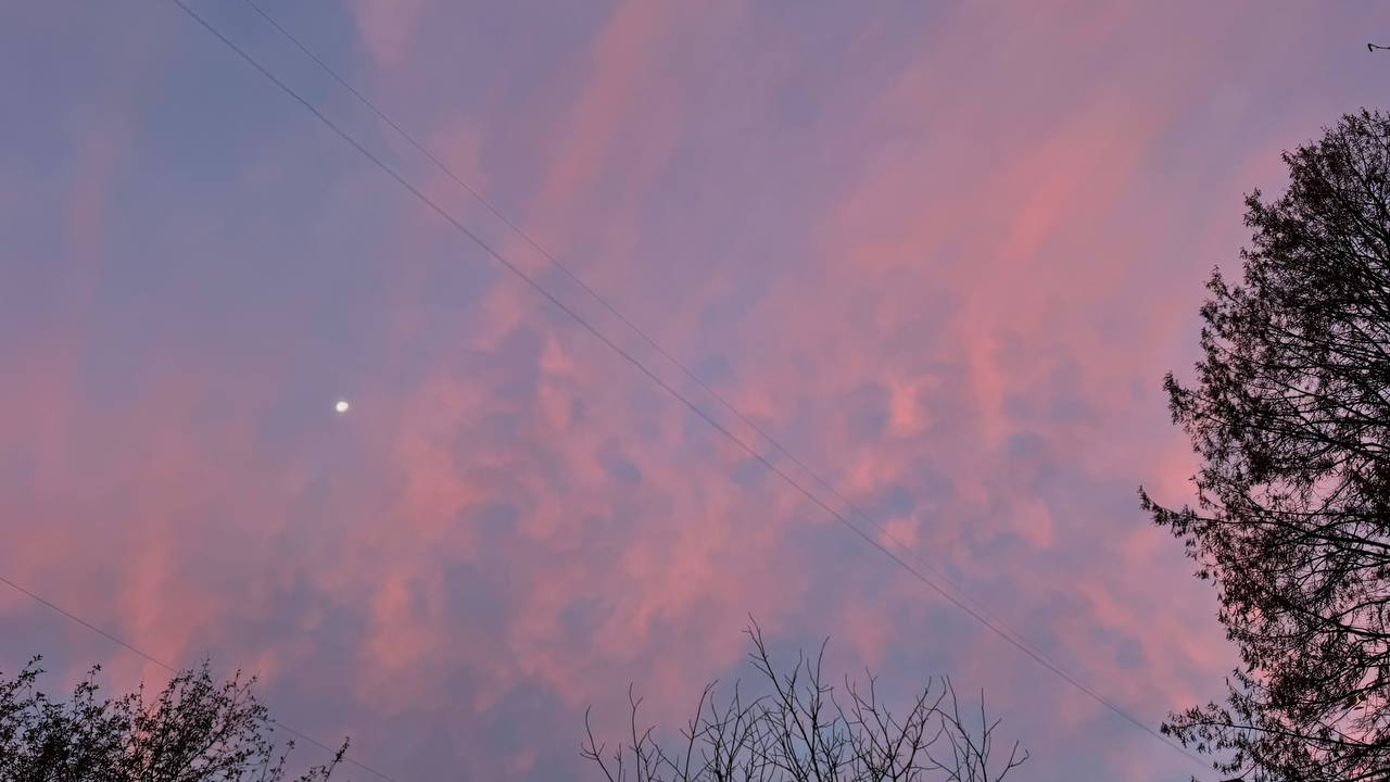 Нежное утреннее небо. Сегодня курян ждет переменная облачность без осадков