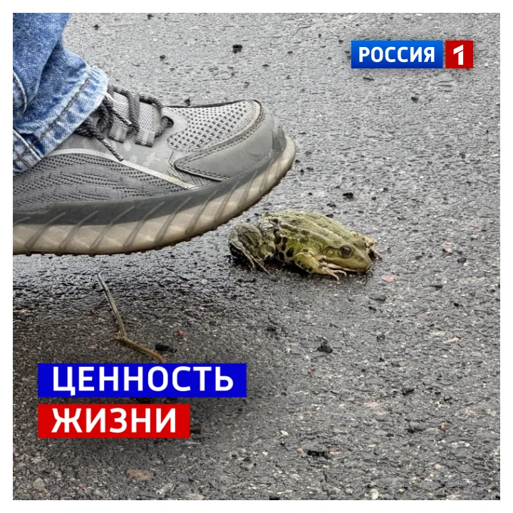 30 октября, пятница. Сегодня Всемирный день жизни