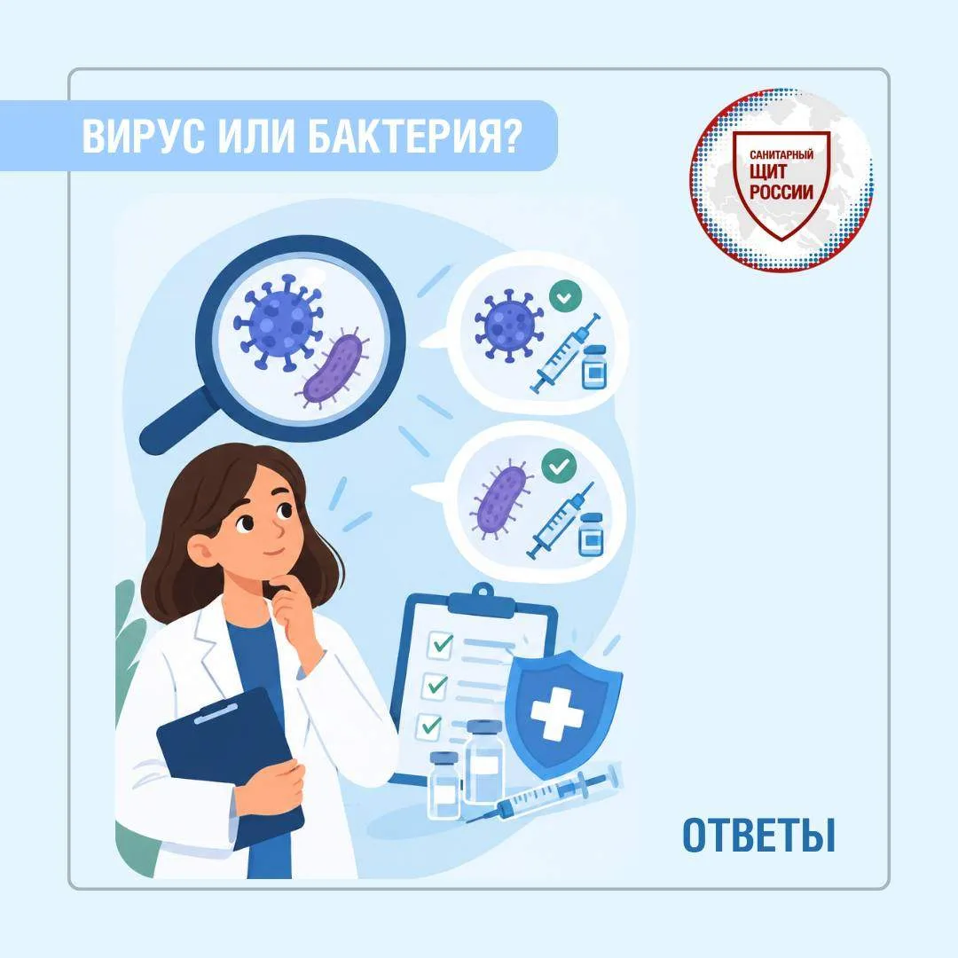 Проверяем ответы. Вирусные инфекции: