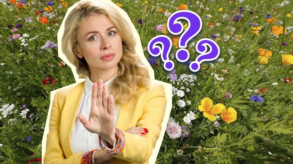 Никогда не срывайте эти 3 цветка: поплатитесь за букет здоровьем