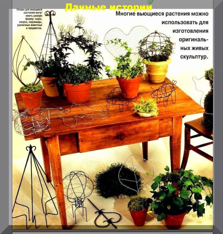 Тренд живых скульптур: как растения становятся искусством в вашем доме