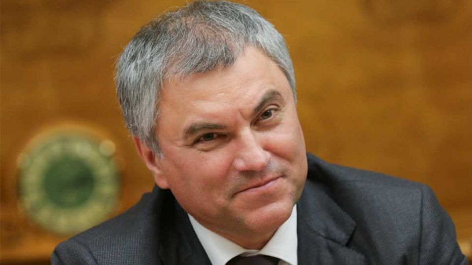 Как россияне отреагировали на обещание Володина о пенсионном возрасте