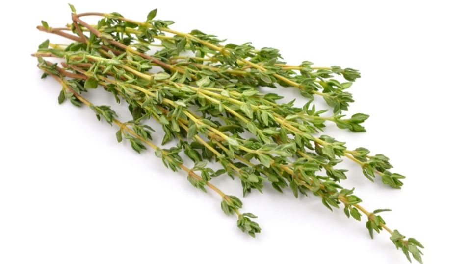 Чабрец: забытая трава, которая может изменить ваш мир