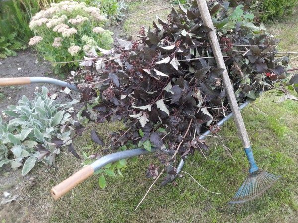 Как правильно сортировать отходы на даче: советы от опытного дачника