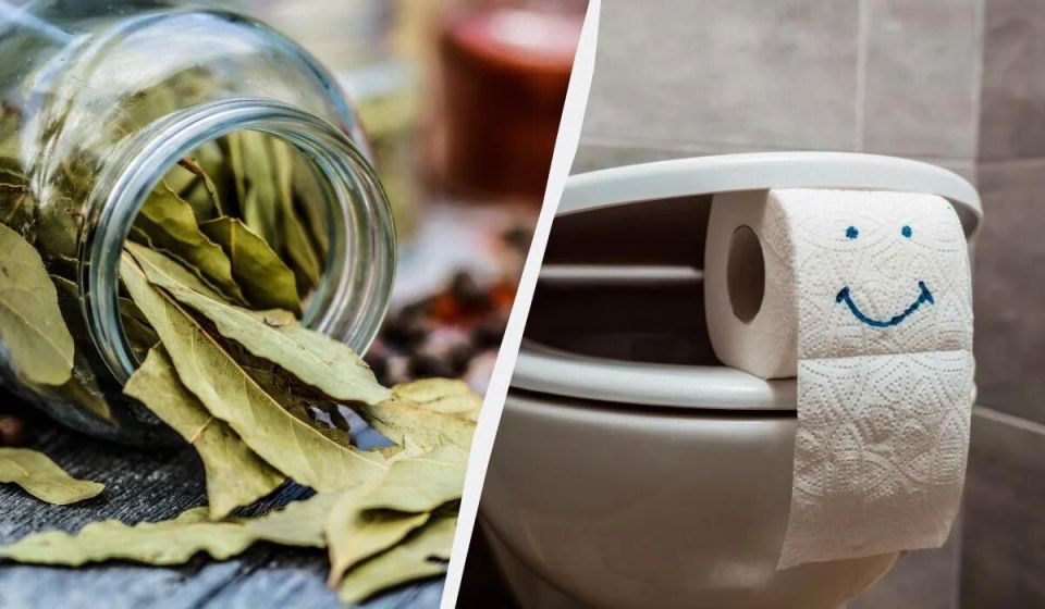 �������� ���� � �������: ����������� ������������ ��� ������ ����