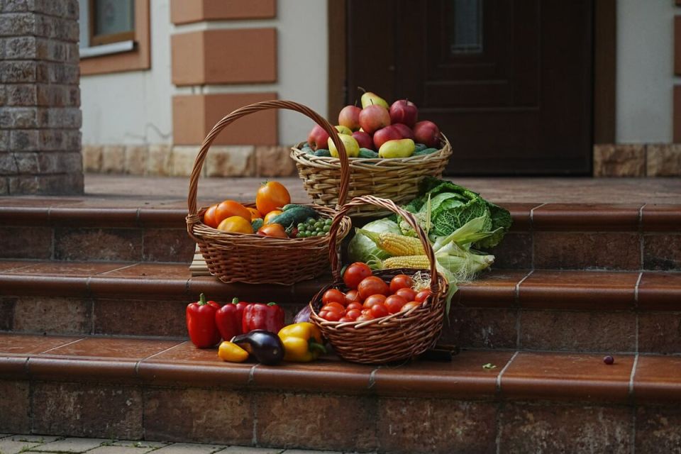 Как вернуть жизнь в истощенную почву вашего участка