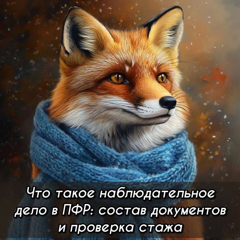 Как отстоять свои права: опыт пенсионера из Орла в борьбе с ПФР