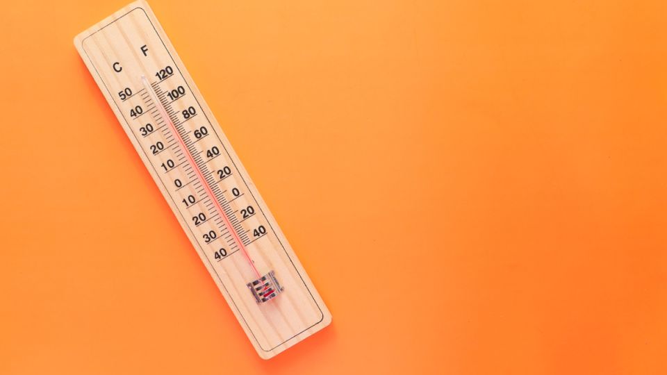 ������� ������� ��� ��-�� ����: ��� ����������� ��������������