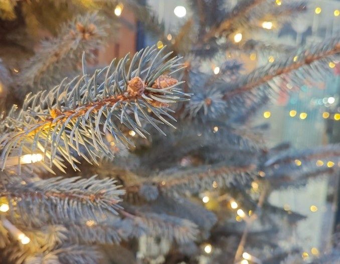 Кому полагаются новогодние выплаты в 2025 году