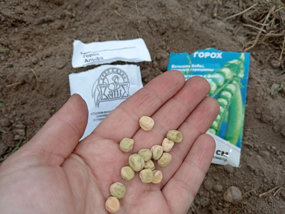 ��� ������� ���������� �����: ������� � ������