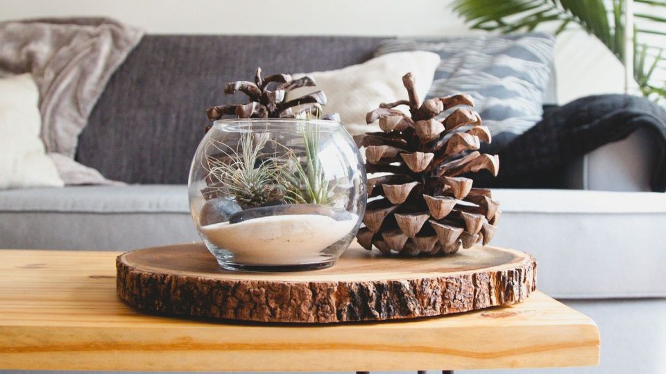 Пыль не будет оседать сразу после уборки: у горничных есть секрет, как сохранить чистоту надолго