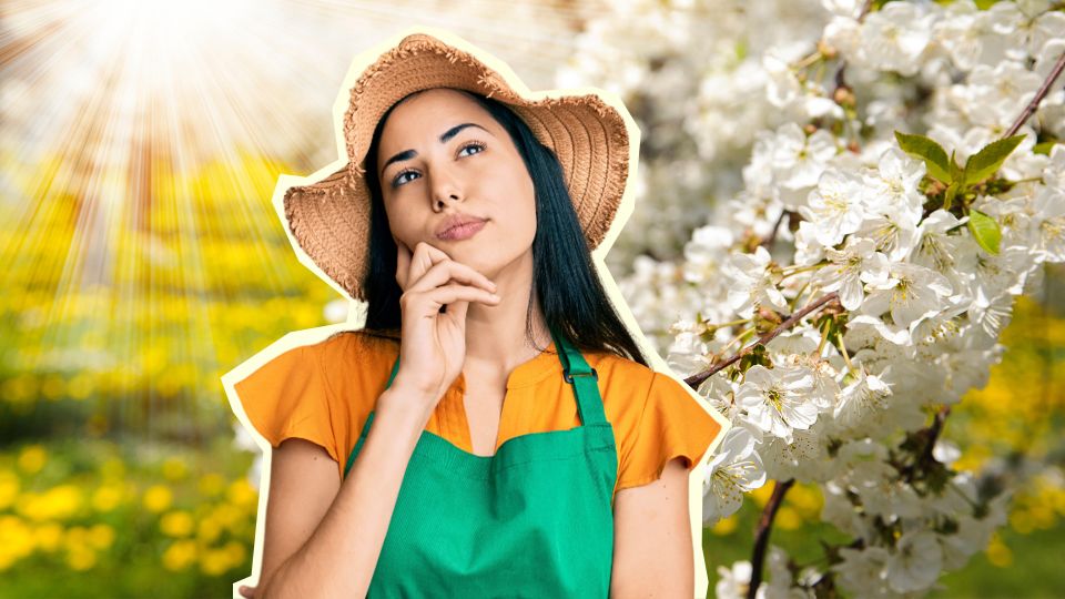 ������ �������, � ����� �� ����������: ��� ��� ����� ������ ��������