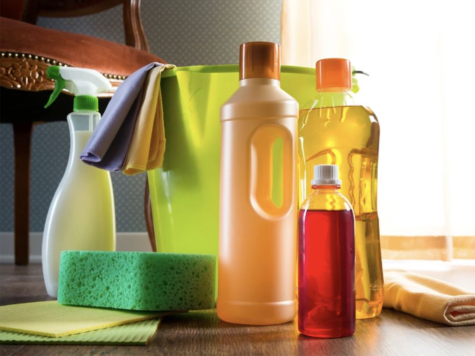 �������� � �����: 9 ������� �������� ������� ������ ���������� � �����������