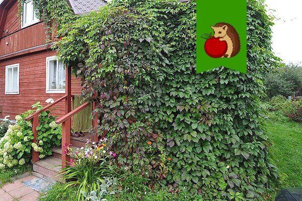 ����� ��� ����: ����� �������� ���������� ��� �������?