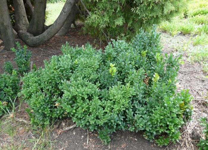 ��������� ������: ��� ������� ������������ � �������