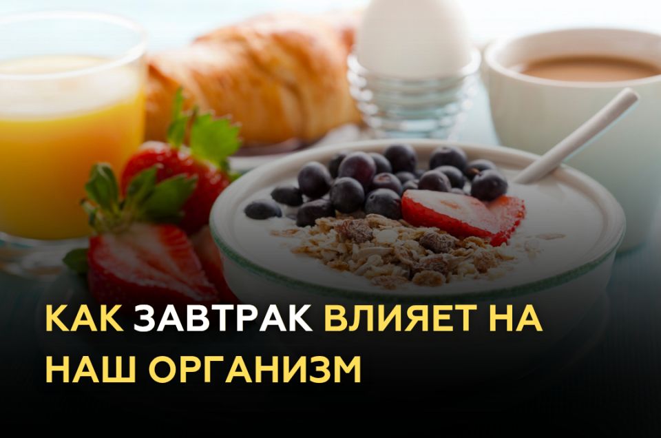 ������� ����������: ��� ����� �������� ������ �� ��������