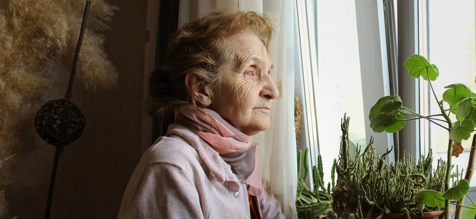 ��� �������� ����������� �������� �������� ������ �� �������� ��-�� ������