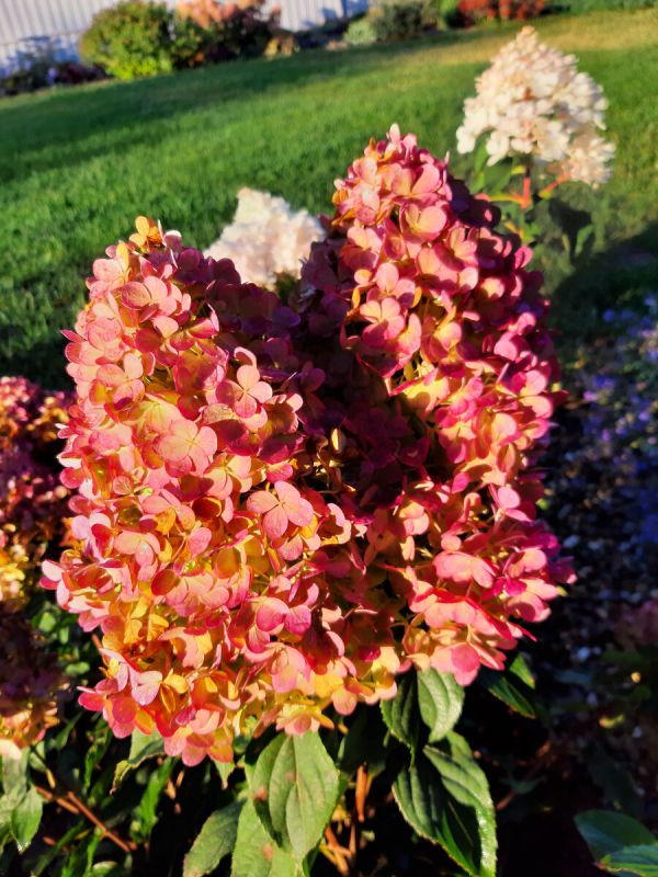 ���������: ��� ������� ��������� ���� ��� ������ ����