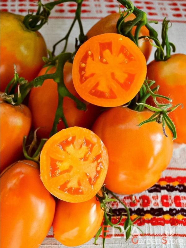 ����� ������: ����� ����� ��� ������ �������