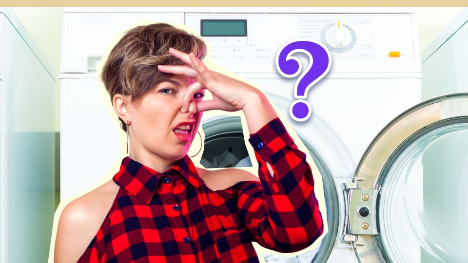 � ���� ����� ��������� ���� ��� ������: ����� �� ��������� �� ���� �� �����