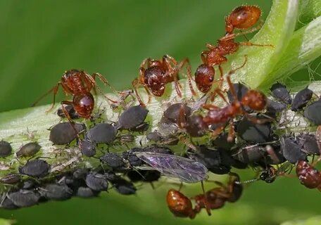 �����: ��������� ����� ��� ������ � ����