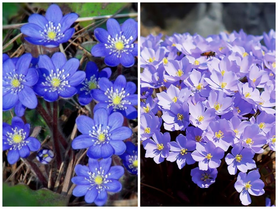 ����� ���������: ���-10 �������� �������� ��� ������������� ����