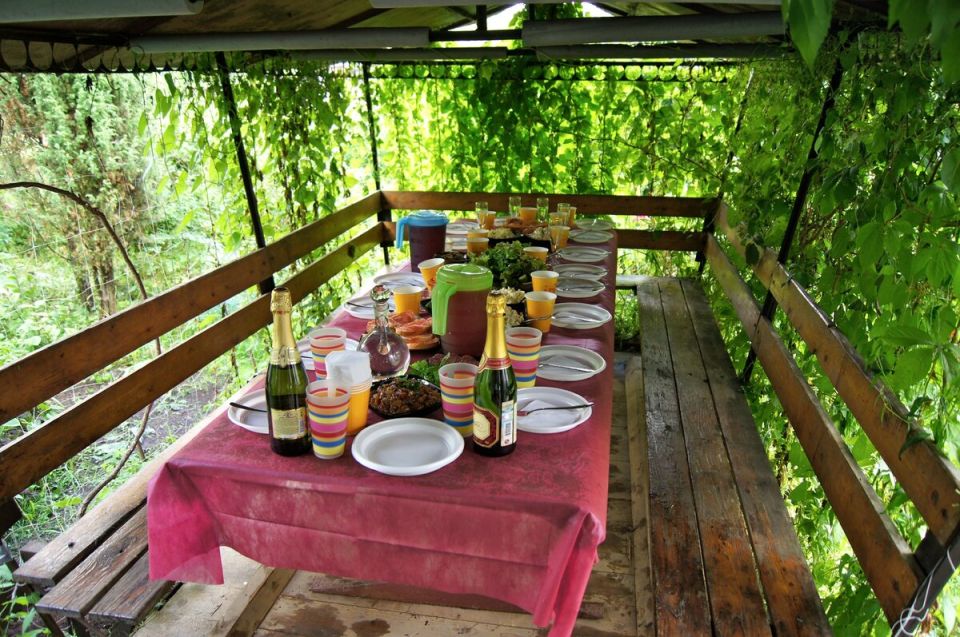 ������������ ������ ���������: ��� �������� ��������� ������ ���������