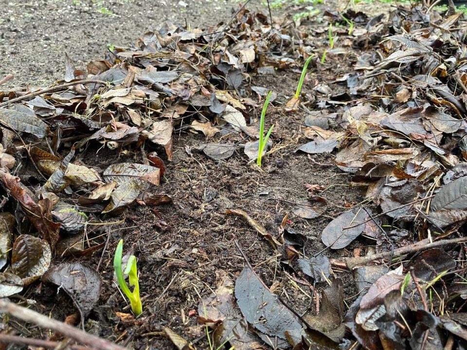 ������ � ������: ����������� ������ � ������� �������� �������