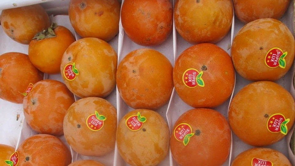 ����������� ������ ����� � ������������ �����������