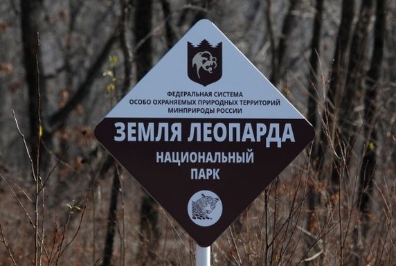 �������� �����������: �������� ������������� � ������������ ������ �������������