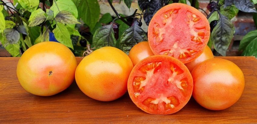 ����� ���� �����: ��������� ���������� ������������ � ����� �� ������ �������