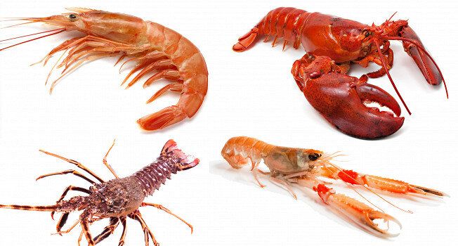 ��� �������� �������� �� �������� � ���������� �� ��������