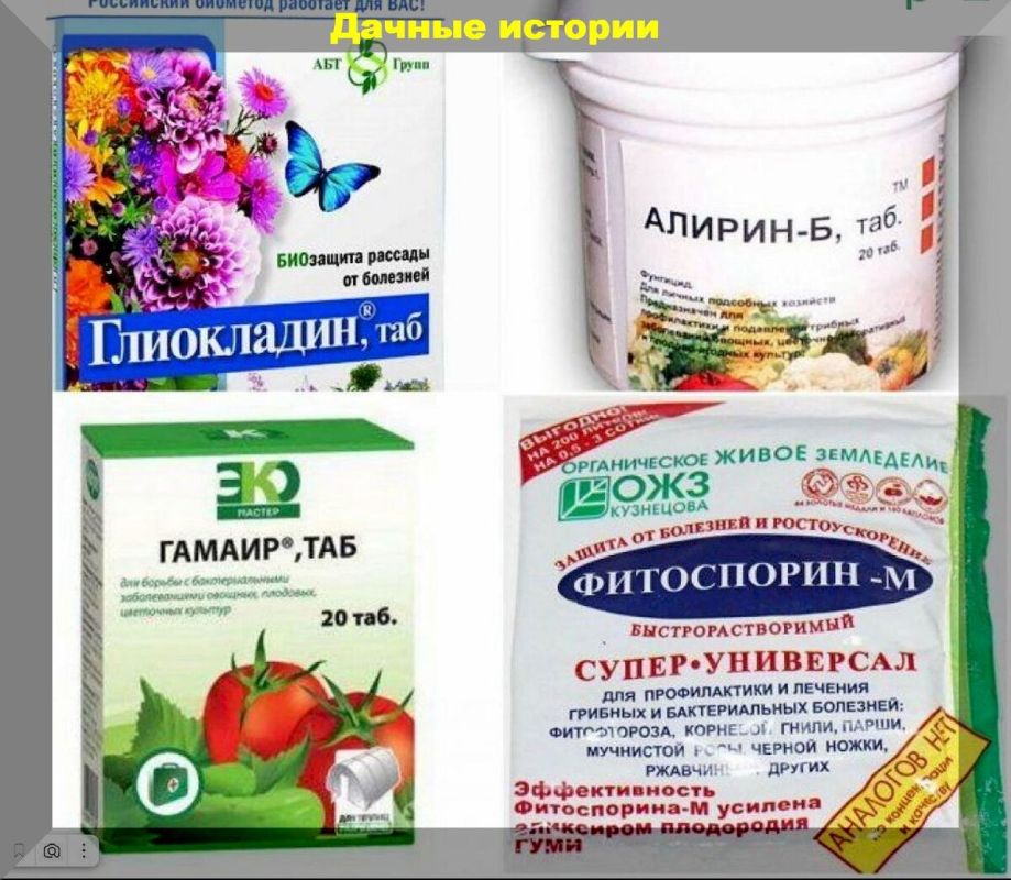 ������ �������: ������� ���������� ������ ����� ����������� ������������