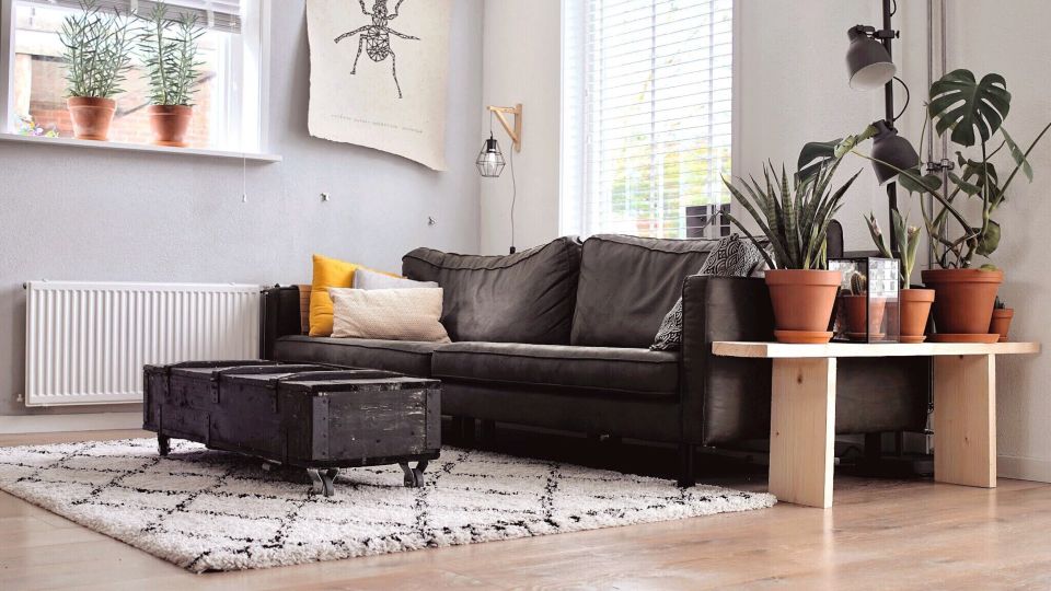 �� ������� � ���� ����� ���������� �� ������: ������� ���� ���������