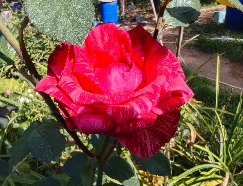 ���������� ���� � ����: 5 ������ ���, ������� �� ����� ��������