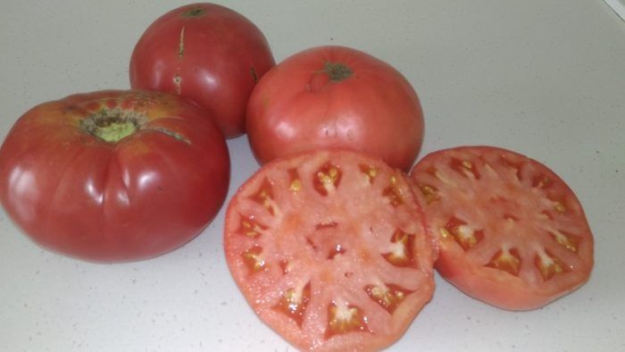 Томат Розовое царство: как вырастить сладкий и крупноплодный сорт